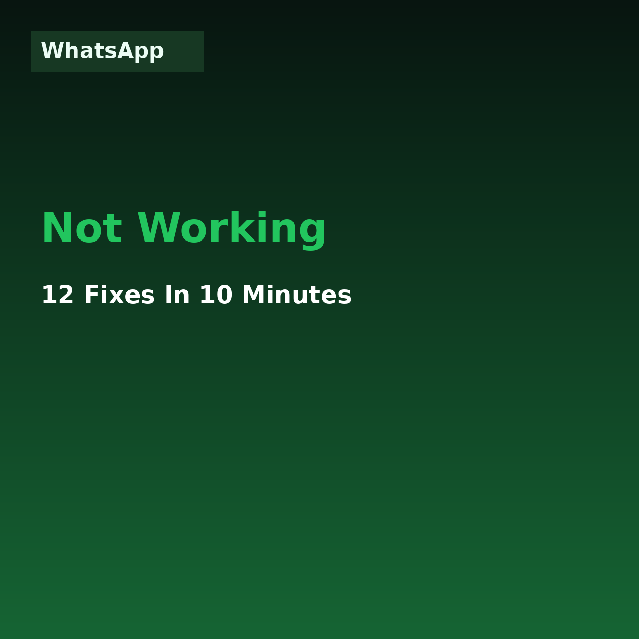 Whatsapp - Not Working